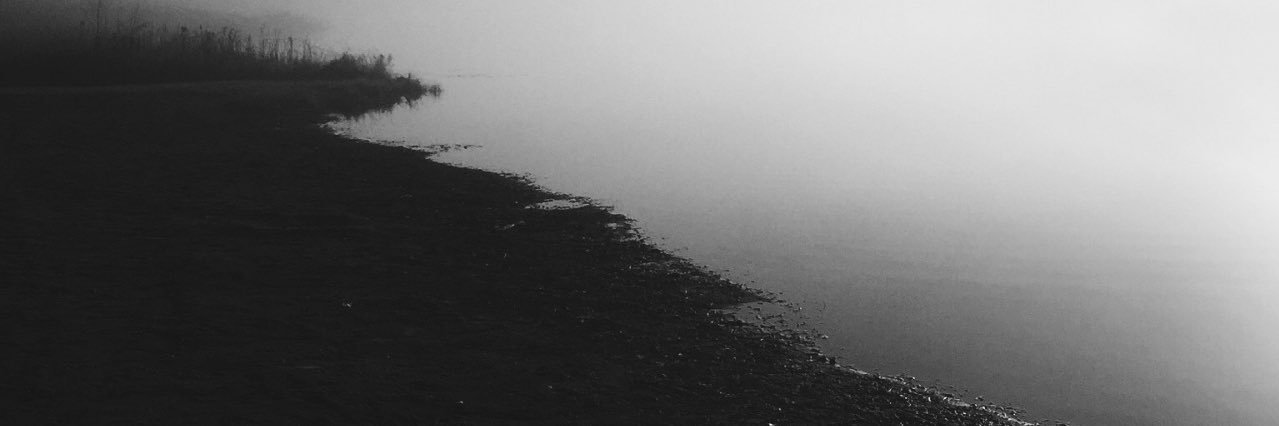 WILLIEDONUT's profile banner image