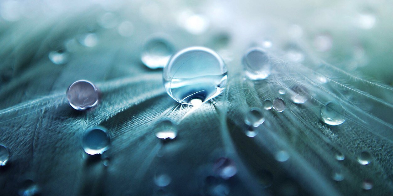 comuaction's profile banner image
