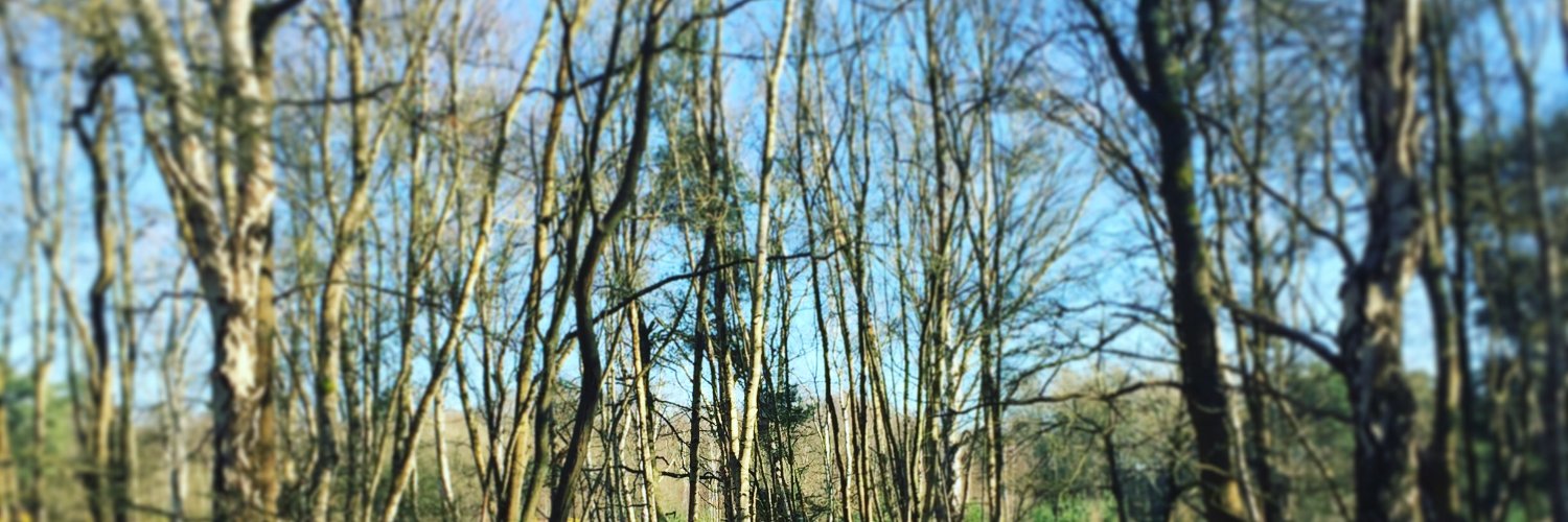 Stephen Lockyer banner