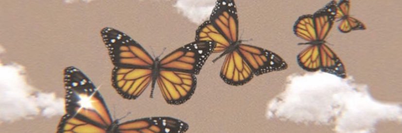BriyannaWarren's profile banner image