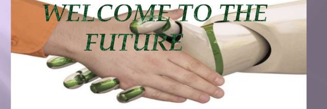 pip-pop bim-bam banner