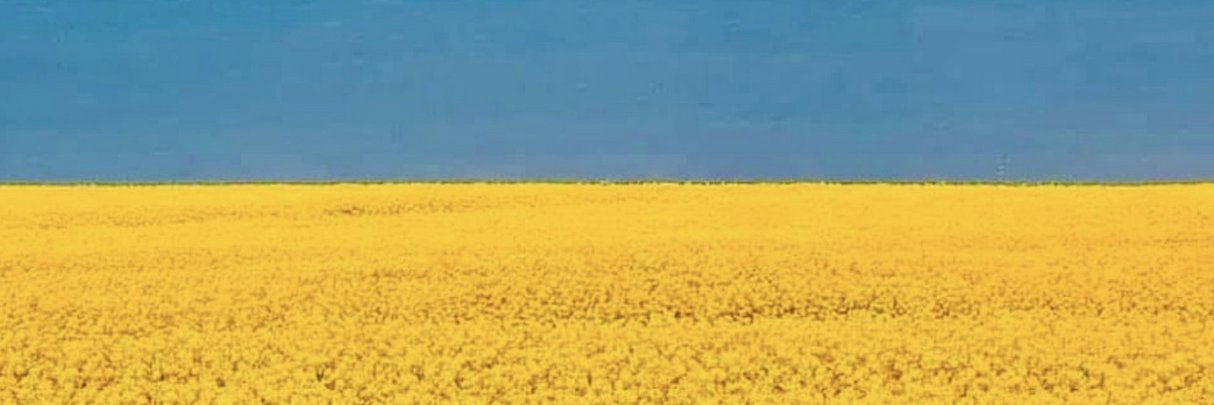 K. Sennholz MD banner