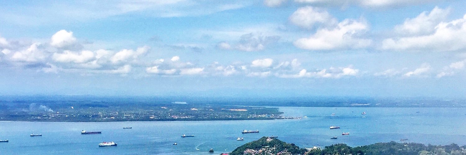 It's Thia 🇵🇸 banner