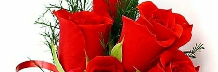 chubi20052005's profile banner image