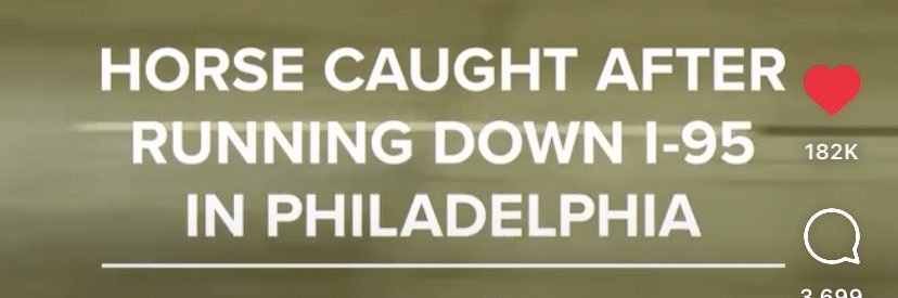 THE ITALIAN CHRISTMAS DONKEY banner