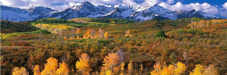 David Royster banner