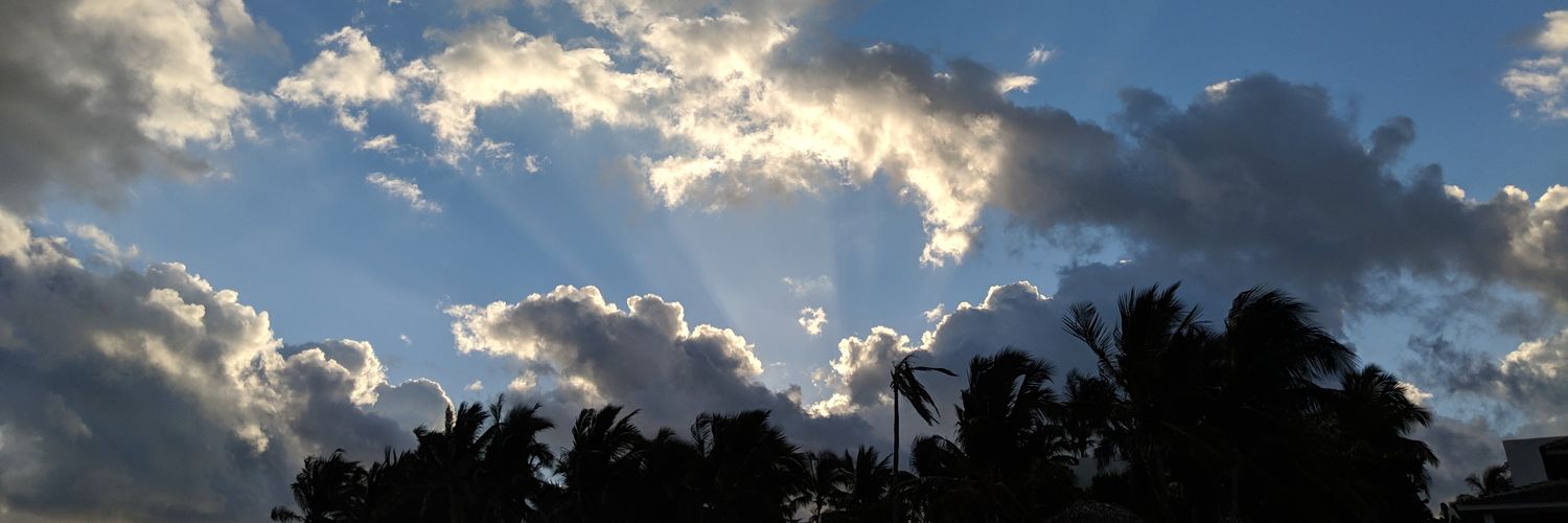 demonvoid's profile banner image