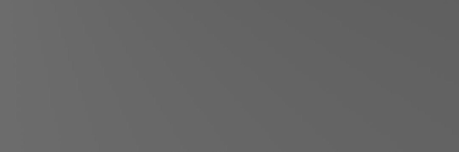 كارلوتا banner