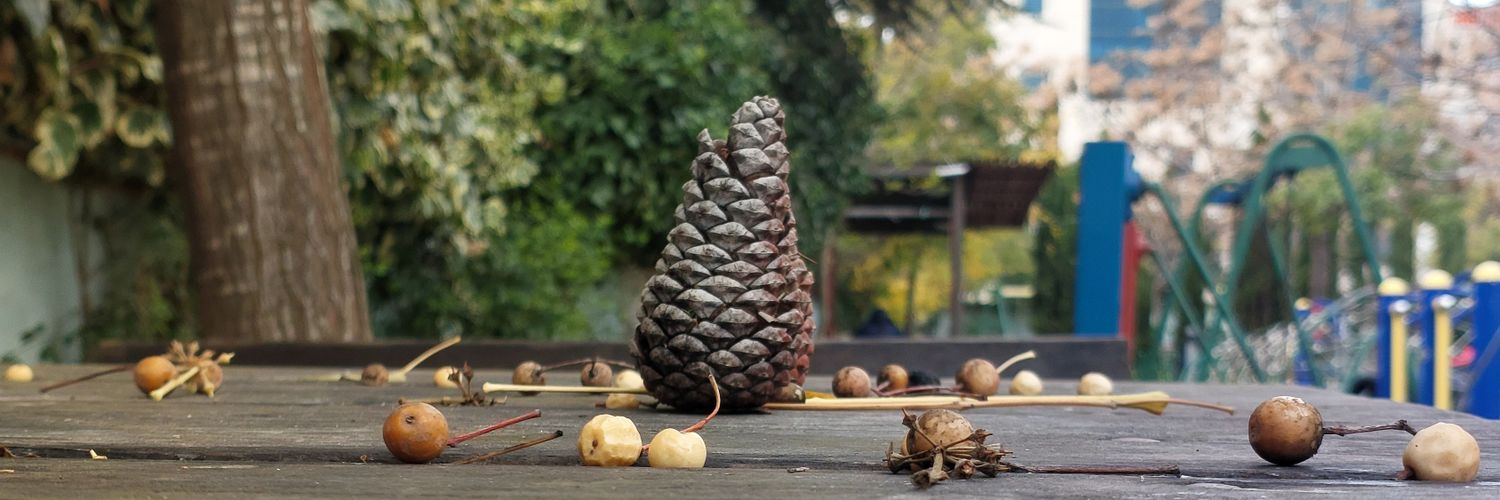 blinglasses🇵🇸✨ banner