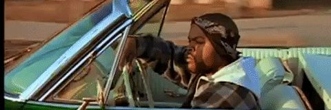 Joy Boy -Go Birds 🦅 banner