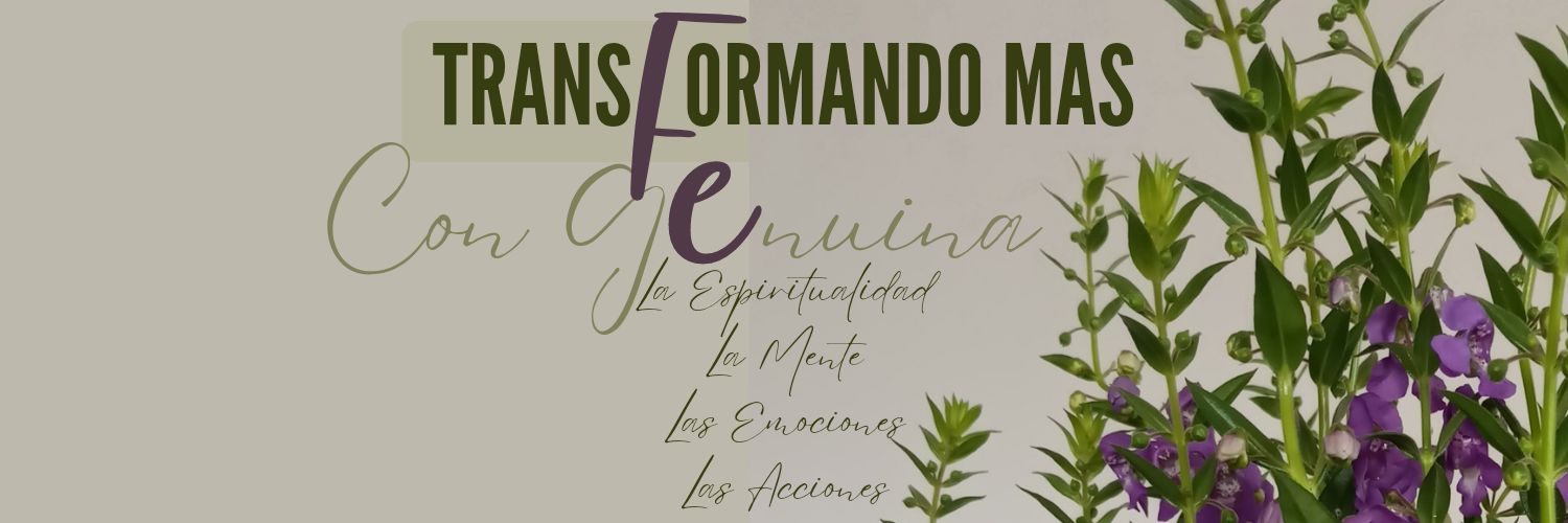 dmendezd's profile banner image