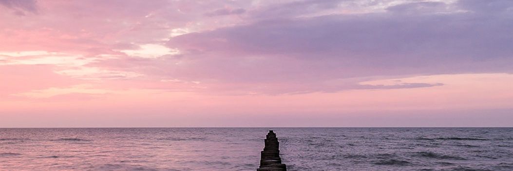 dzorman81's profile banner image