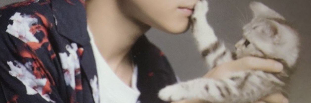 kitty7donald's profile banner image