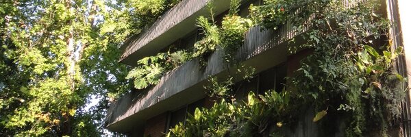 ainfantek Profile Banner