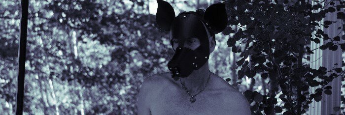 PupBruno's profile banner image