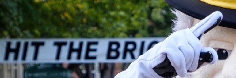 WFU Hit the Bricks banner