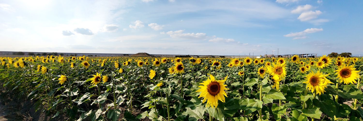 むつき💮 banner