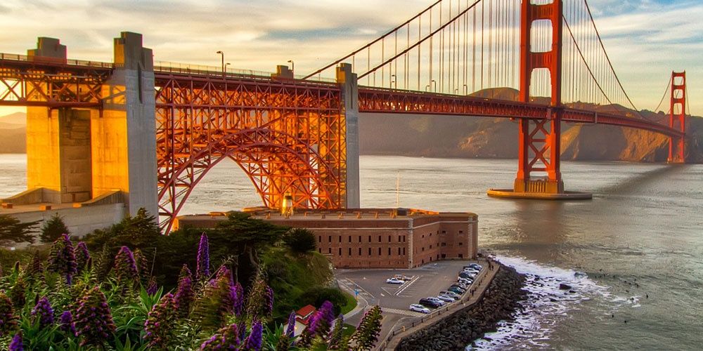 Thomas Pelletier banner