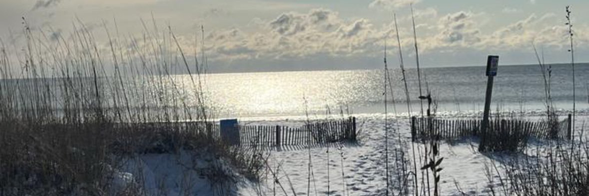 Anne Elizabeth banner