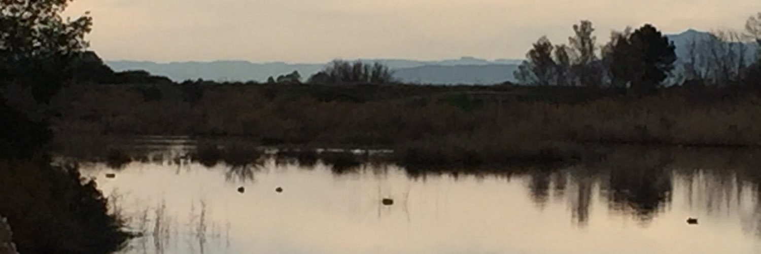 Gonzalo Belenguer banner