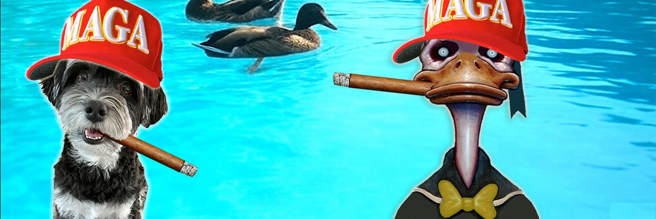 PsychoDuck007's profile banner image