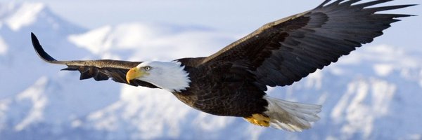 SmackObs Profile Banner