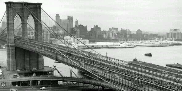 Vincent Di Virgilio banner