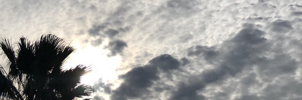 samidiaz74's profile banner image