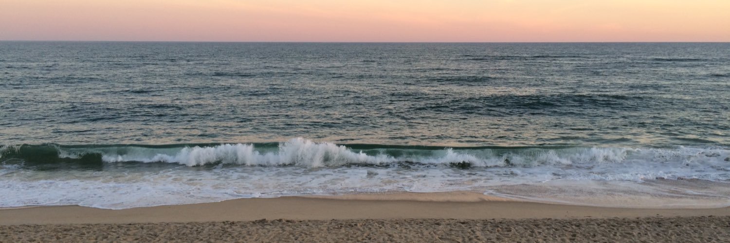 Jess_Plotkin's profile banner image