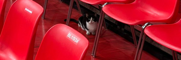 D4MNM3 Profile Banner