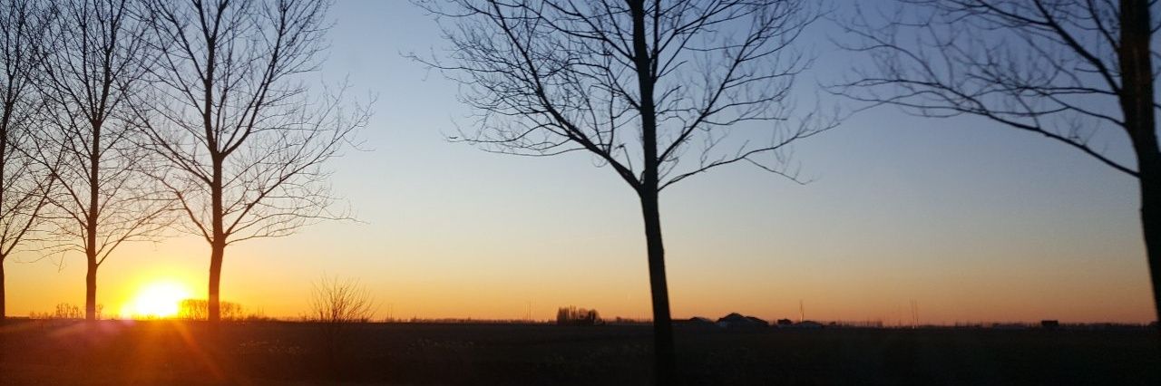 pllurba's profile banner image
