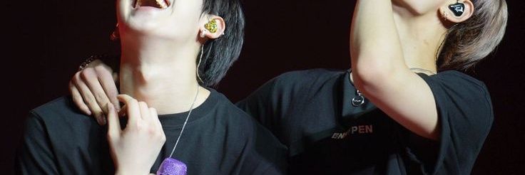 🦫 banner