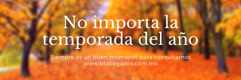 bfabogados's profile banner image