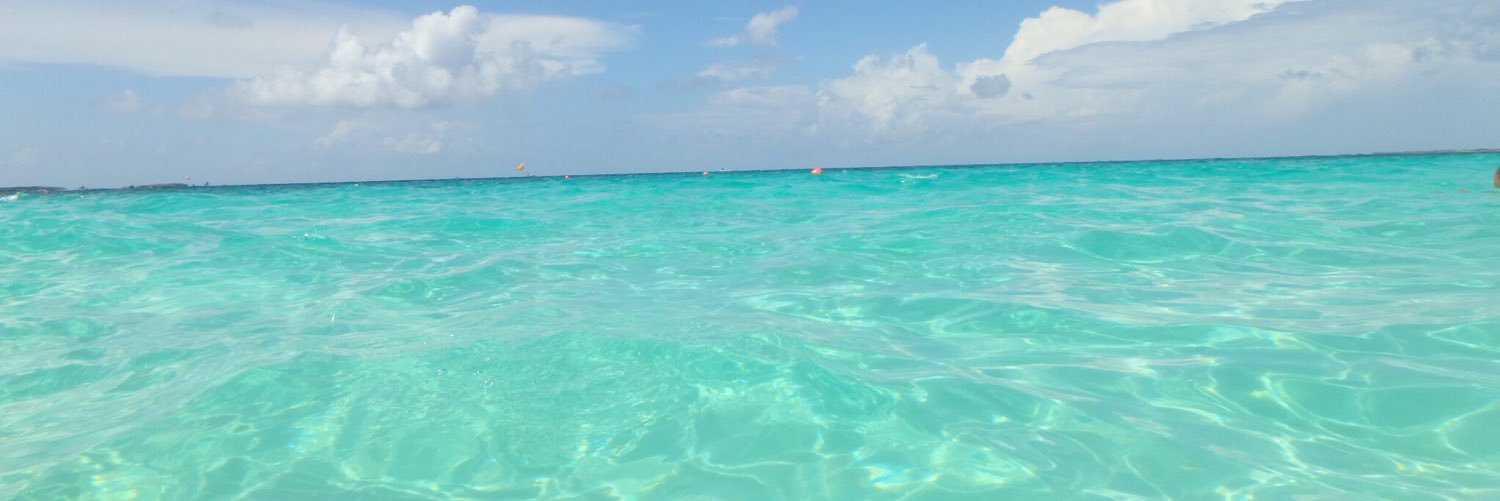 Angie Doolittle banner