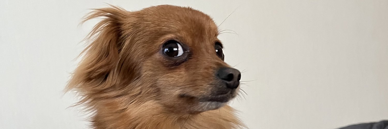 umatter_sub banner