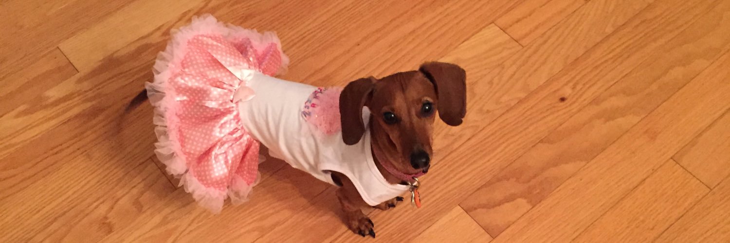 PinkinLKN's profile banner image