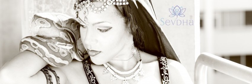 SevyDevi's profile banner image