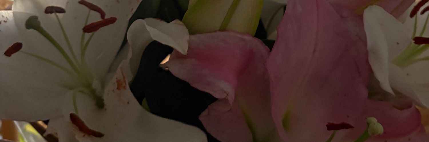 le_eeen's profile banner image