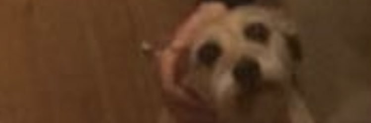 Cwills9's profile banner image