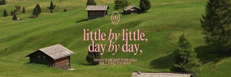 🦩 eveྀྀི♪⋆.✮ banner