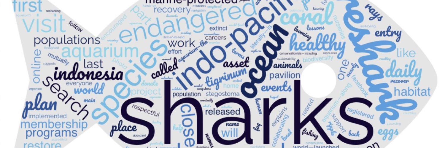 MoiraAtLarge's profile banner image
