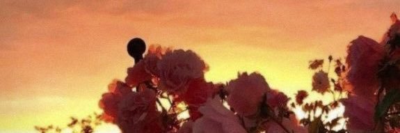 _mvcr's profile banner image