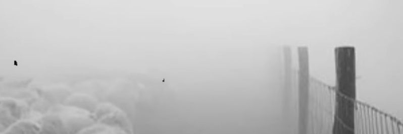 أبو إسحاق | الله المستعان banner