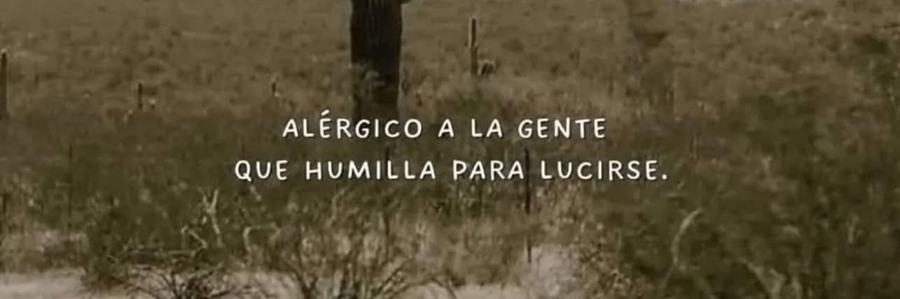 changocitadino banner