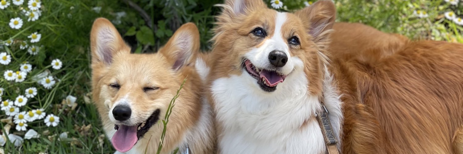 りのきや(はなうら姉妹) banner