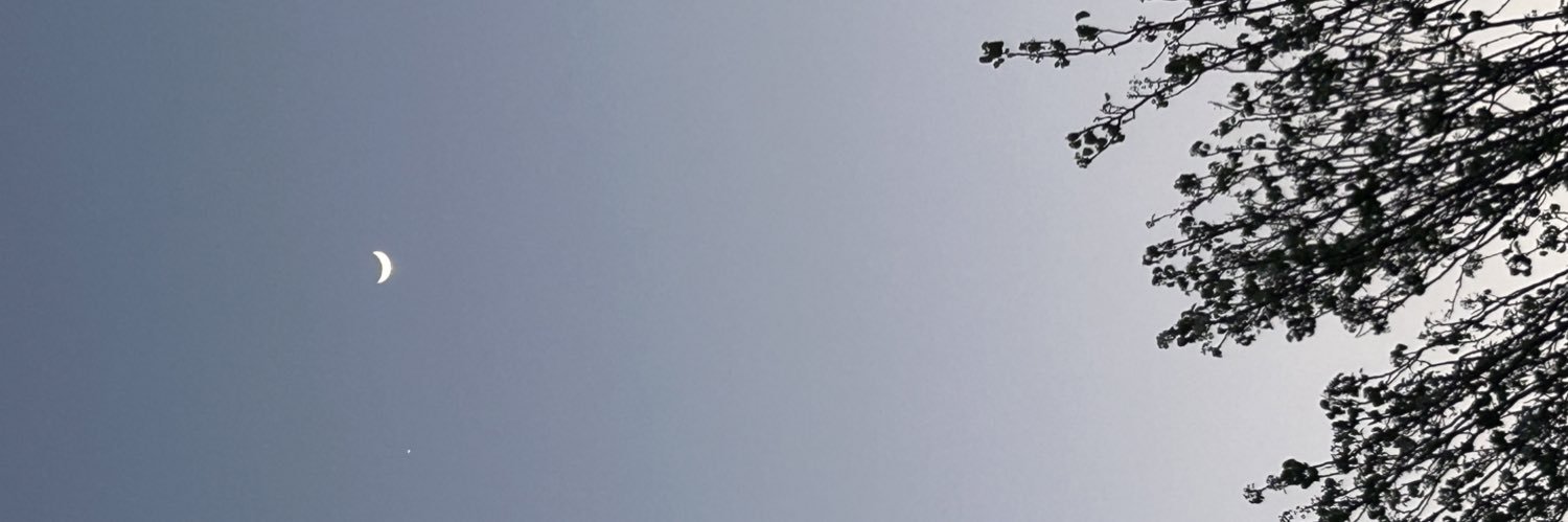 gabbyxcc's profile banner image