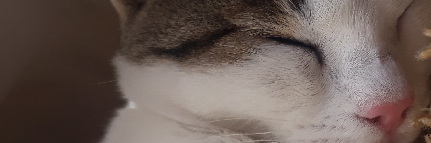 RYenler's profile banner image