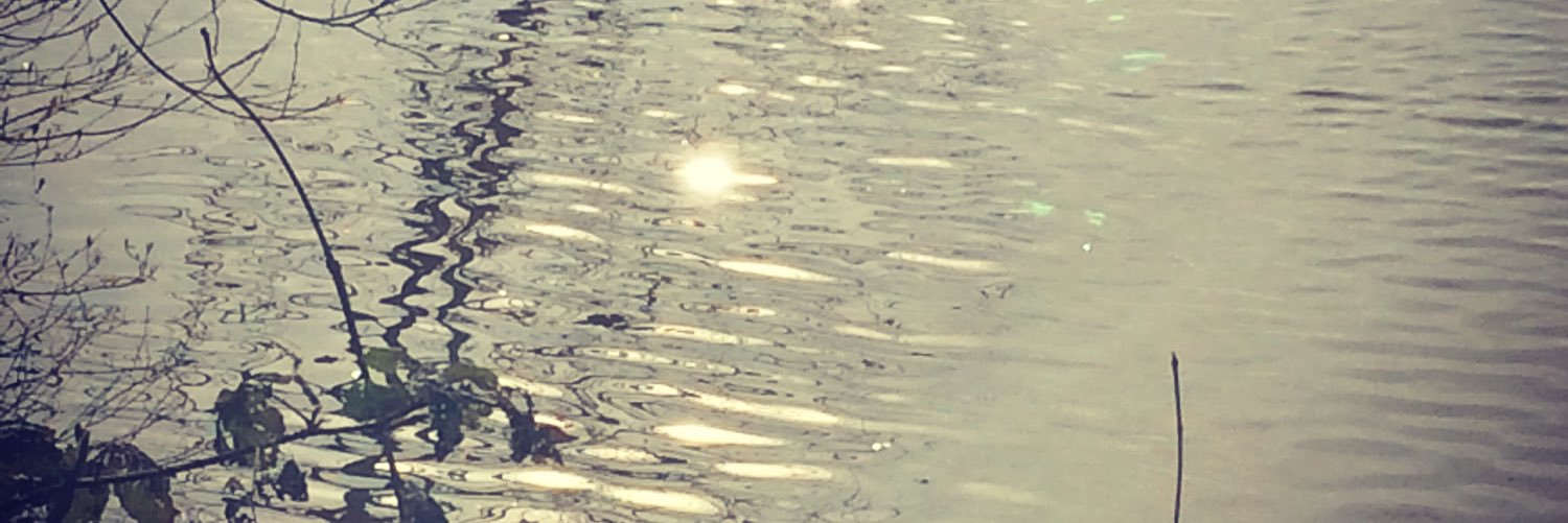 susiey13's profile banner image