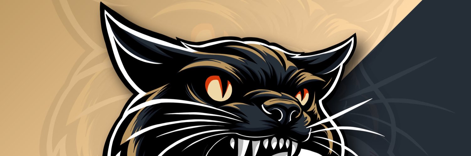 Sherman Shadowcats banner