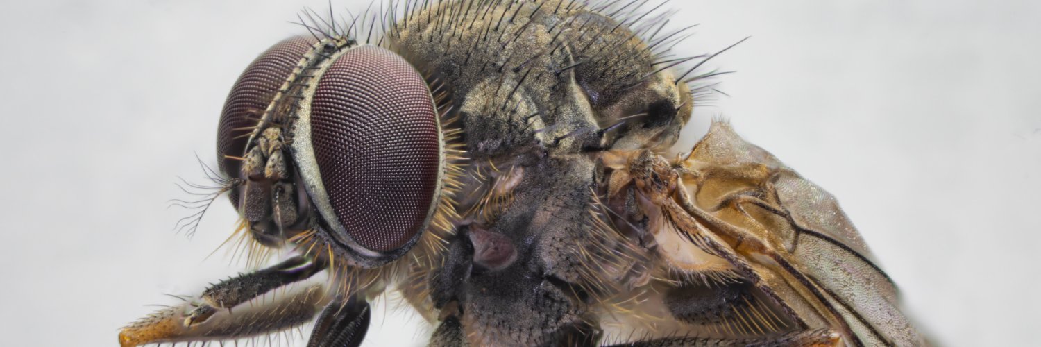 Research Ring in Pest Insects and Climate Change banner